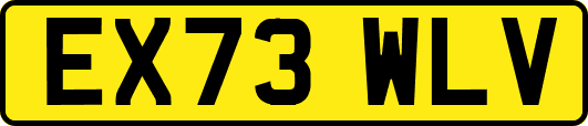 EX73WLV