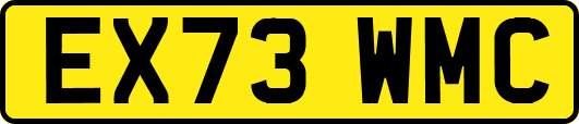 EX73WMC