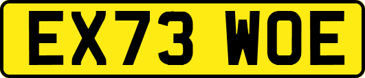 EX73WOE