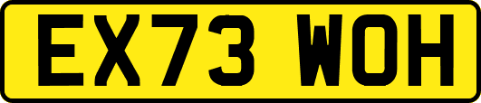 EX73WOH