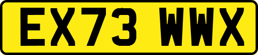 EX73WWX