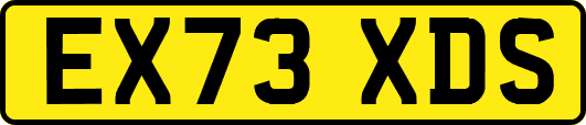 EX73XDS