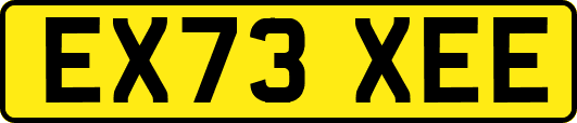 EX73XEE