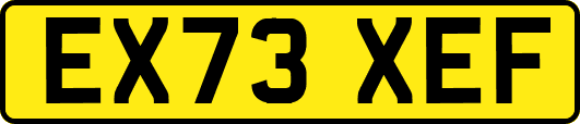EX73XEF