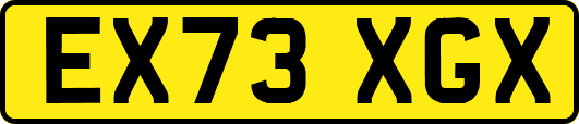 EX73XGX