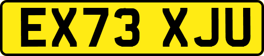EX73XJU