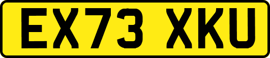 EX73XKU