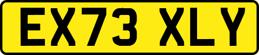 EX73XLY