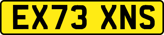 EX73XNS