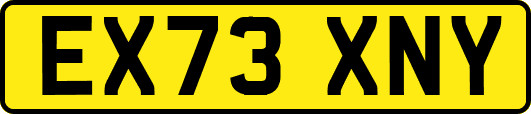 EX73XNY