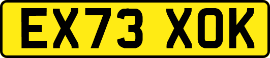EX73XOK