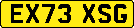 EX73XSG