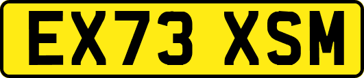EX73XSM