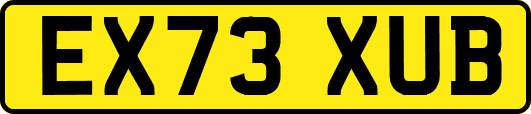 EX73XUB