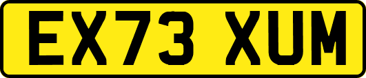 EX73XUM