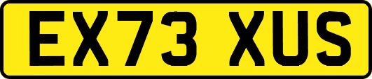 EX73XUS