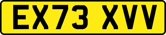 EX73XVV