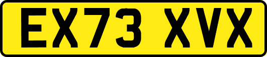 EX73XVX