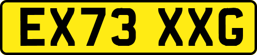 EX73XXG