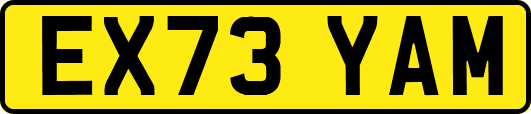 EX73YAM