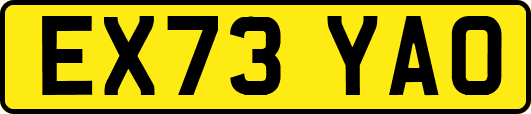EX73YAO