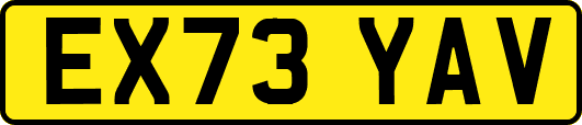 EX73YAV