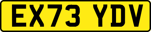 EX73YDV