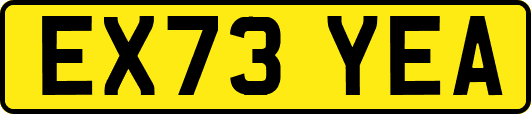 EX73YEA