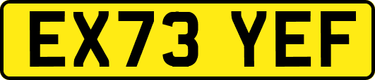 EX73YEF