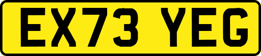 EX73YEG
