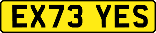 EX73YES