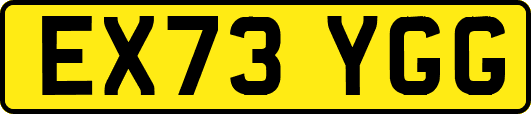 EX73YGG