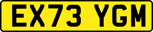 EX73YGM