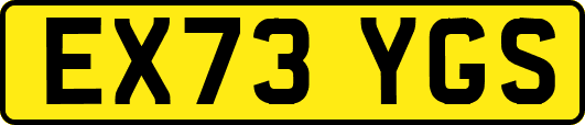 EX73YGS