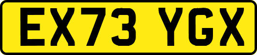 EX73YGX