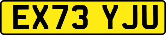 EX73YJU