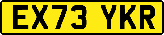 EX73YKR