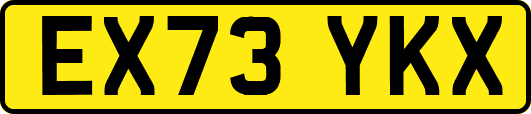 EX73YKX