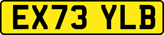 EX73YLB