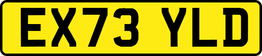 EX73YLD