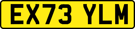 EX73YLM