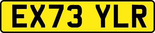EX73YLR