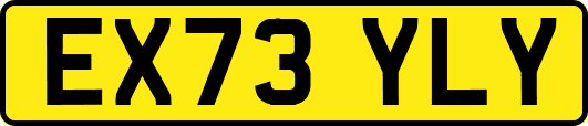 EX73YLY