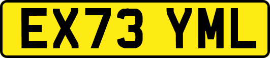 EX73YML