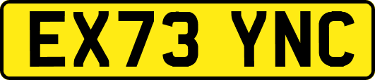 EX73YNC