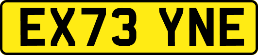 EX73YNE
