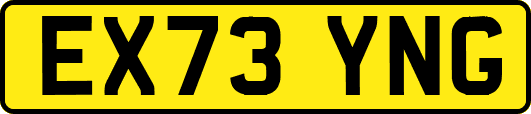 EX73YNG