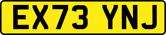 EX73YNJ