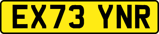 EX73YNR