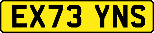 EX73YNS